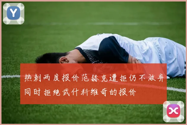 热刺两度报价范赫克遭拒仍不放弃同时拒绝武什科维奇的报价